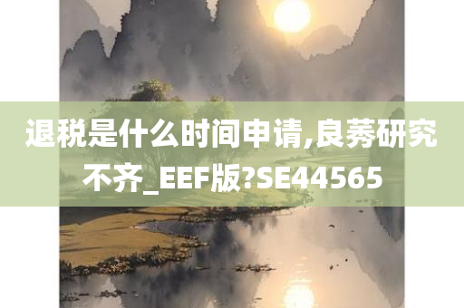 退税是什么时间申请,良莠研究不齐_EEF版?SE44565