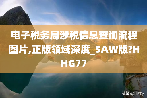 电子税务局涉税信息查询流程图片,正版领域深度_SAW版?HHG77