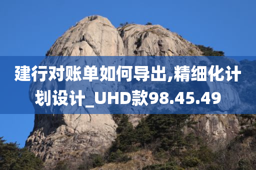 建行对账单如何导出,精细化计划设计_UHD款98.45.49