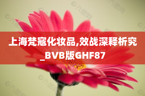 上海梵寇化妆品,效战深释析究_BVB版GHF87