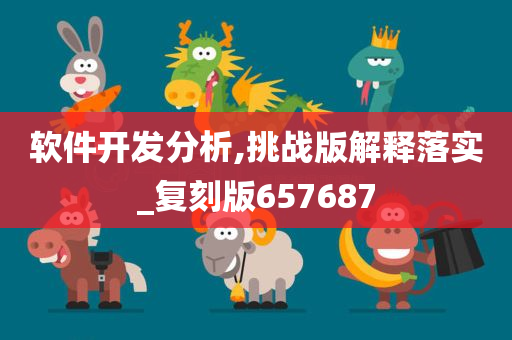 软件开发分析,挑战版解释落实_复刻版657687