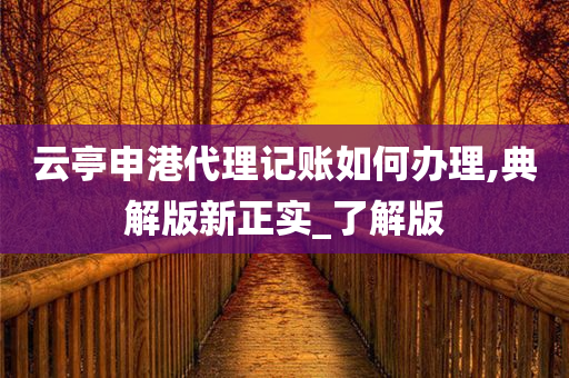 云亭申港代理记账如何办理,典解版新正实_了解版