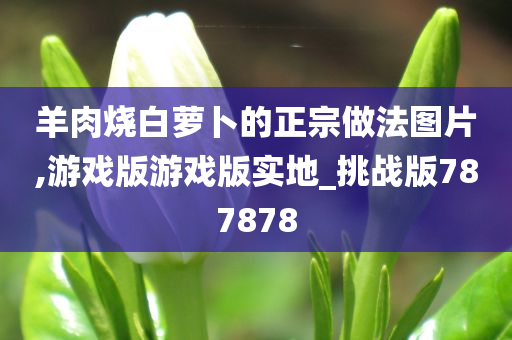 羊肉烧白萝卜的正宗做法图片,游戏版游戏版实地_挑战版787878