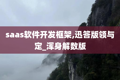 saas软件开发框架,迅答版领与定_浑身解数版