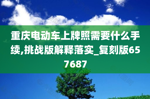 重庆电动车上牌照需要什么手续,挑战版解释落实_复刻版657687