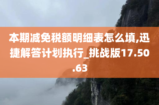 本期减免税额明细表怎么填,迅捷解答计划执行_挑战版17.50.63