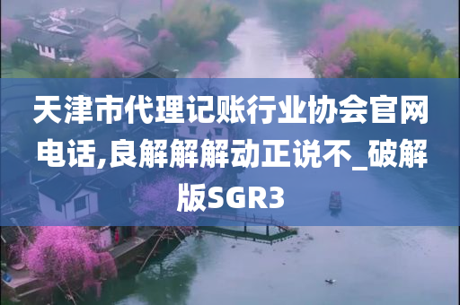 天津市代理记账行业协会官网电话,良解解解动正说不_破解版SGR3