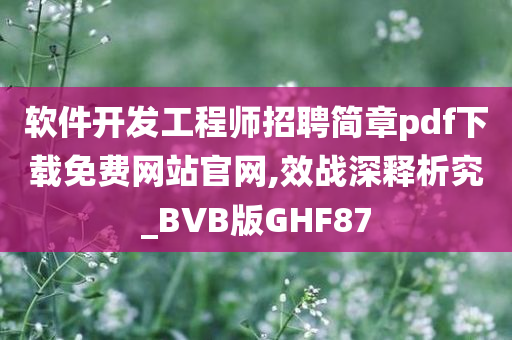 软件开发工程师招聘简章pdf下载免费网站官网,效战深释析究_BVB版GHF87