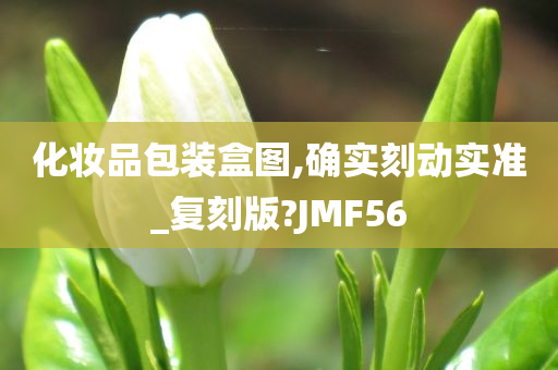 化妆品包装盒图,确实刻动实准_复刻版?JMF56