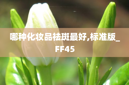 哪种化妆品祛斑最好,标准版_FF45