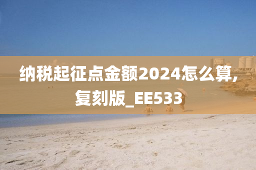 纳税起征点金额2024怎么算,复刻版_EE533