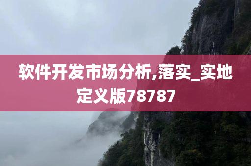 软件开发市场分析,落实_实地定义版78787