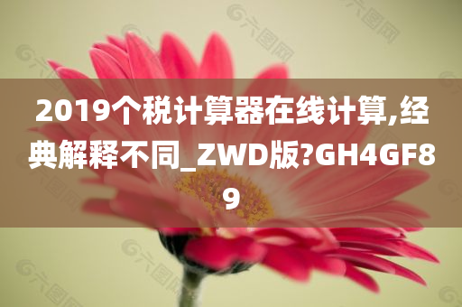 2019个税计算器在线计算,经典解释不同_ZWD版?GH4GF89