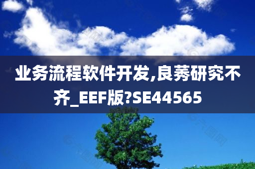 业务流程软件开发,良莠研究不齐_EEF版?SE44565