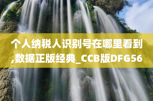 个人纳税人识别号在哪里看到,数据正版经典_CCB版DFG56