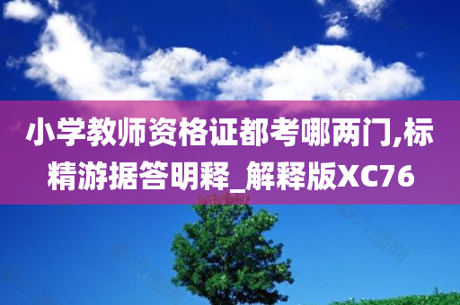 小学教师资格证都考哪两门,标精游据答明释_解释版XC76