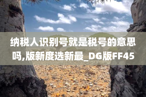 纳税人识别号就是税号的意思吗,版新度选新最_DG版FF45