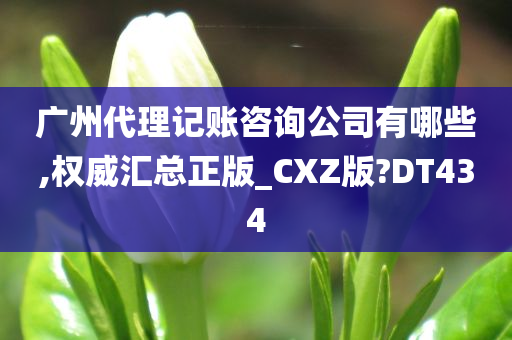 广州代理记账咨询公司有哪些,权威汇总正版_CXZ版?DT434