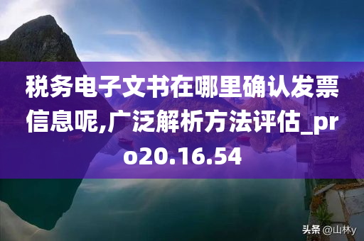 税务电子文书在哪里确认发票信息呢,广泛解析方法评估_pro20.16.54