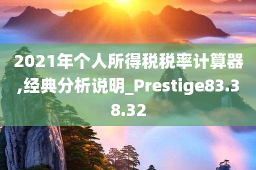 2021年个人所得税税率计算器,经典分析说明_Prestige83.38.32