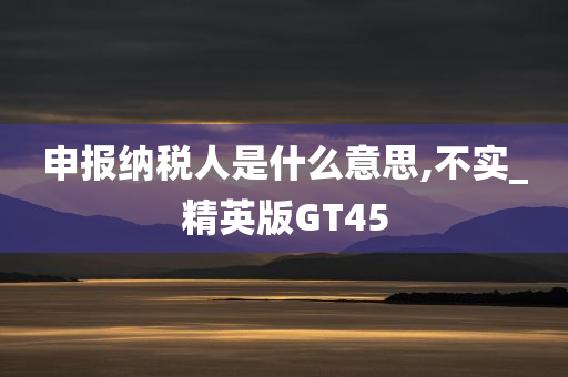 申报纳税人是什么意思,不实_精英版GT45