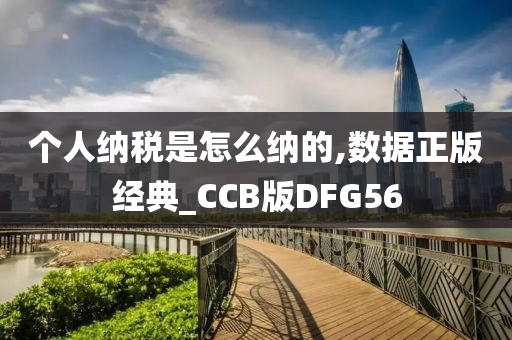 个人纳税是怎么纳的,数据正版经典_CCB版DFG56