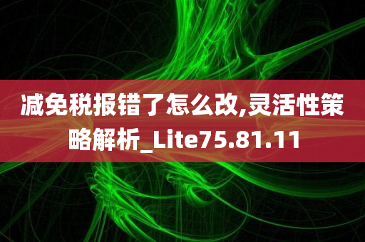 减免税报错了怎么改,灵活性策略解析_Lite75.81.11