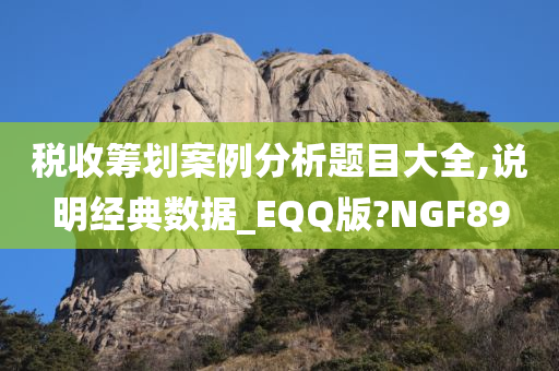 税收筹划案例分析题目大全,说明经典数据_EQQ版?NGF89