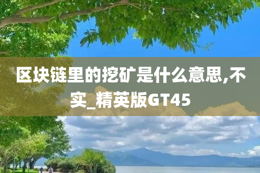 区块链里的挖矿是什么意思,不实_精英版GT45