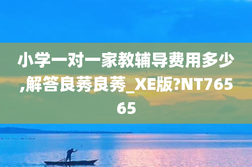 小学一对一家教辅导费用多少,解答良莠良莠_XE版?NT76565