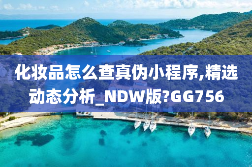 化妆品怎么查真伪小程序,精选动态分析_NDW版?GG756