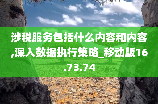 涉税服务包括什么内容和内容,深入数据执行策略_移动版16.73.74