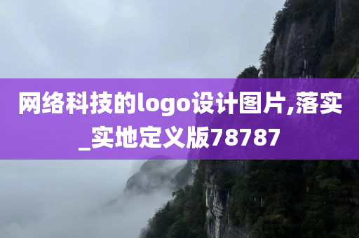 网络科技的logo设计图片,落实_实地定义版78787