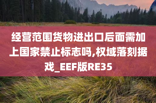 经营范围货物进出口后面需加上国家禁止标志吗,权域落刻据戏_EEF版RE35