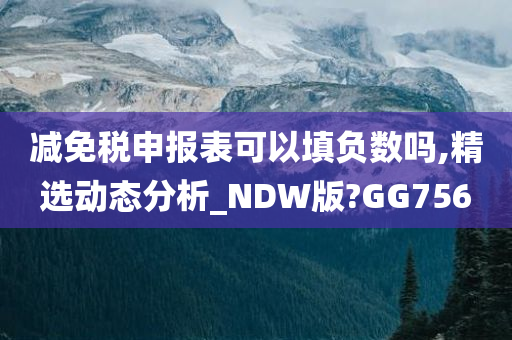 减免税申报表可以填负数吗,精选动态分析_NDW版?GG756