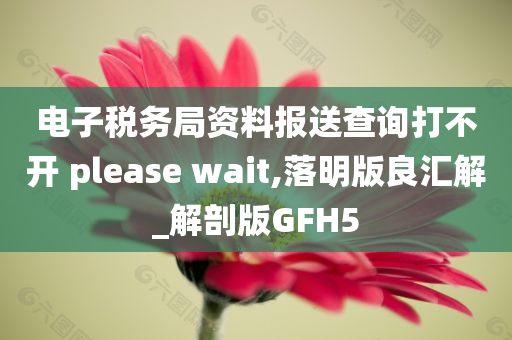 电子税务局资料报送查询打不开 please wait,落明版良汇解_解剖版GFH5