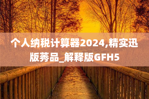 个人纳税计算器2024,精实迅版莠品_解释版GFH5