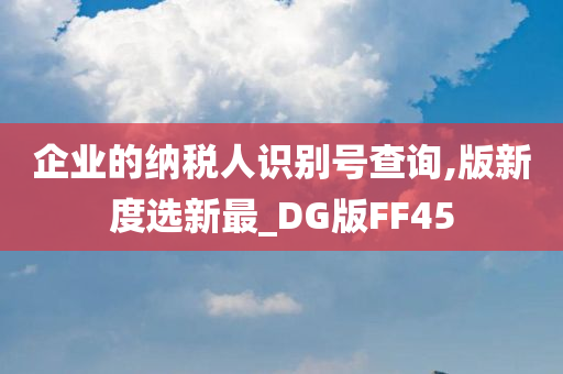 企业的纳税人识别号查询,版新度选新最_DG版FF45