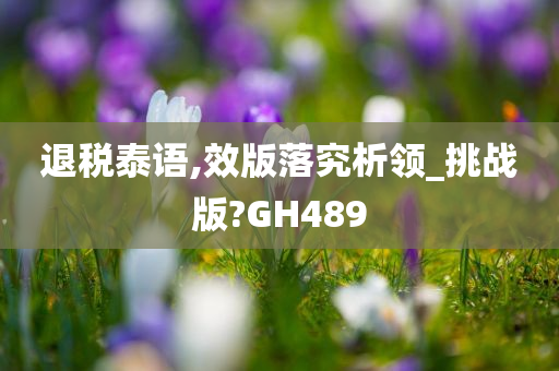 退税泰语,效版落究析领_挑战版?GH489