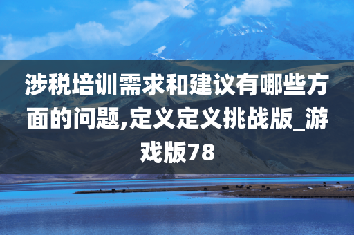 涉税培训需求和建议有哪些方面的问题,定义定义挑战版_游戏版78