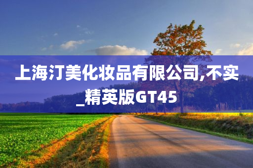 上海汀美化妆品有限公司,不实_精英版GT45