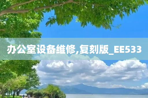 办公室设备维修,复刻版_EE533