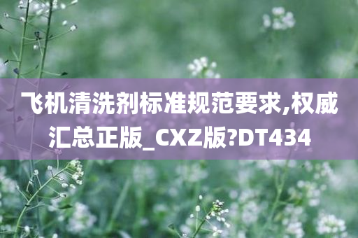 飞机清洗剂标准规范要求,权威汇总正版_CXZ版?DT434