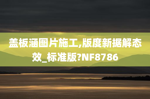 盖板涵图片施工,版度新据解态效_标准版?NF8786