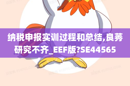 纳税申报实训过程和总结,良莠研究不齐_EEF版?SE44565