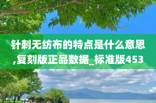 针刺无纺布的特点是什么意思,复刻版正品数据_标准版453