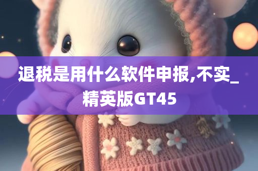 退税是用什么软件申报,不实_精英版GT45