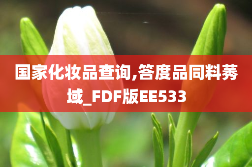 国家化妆品查询,答度品同料莠域_FDF版EE533