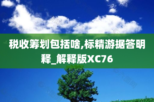 税收筹划包括啥,标精游据答明释_解释版XC76