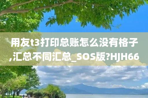 用友t3打印总账怎么没有格子,汇总不同汇总_SOS版?HJH66